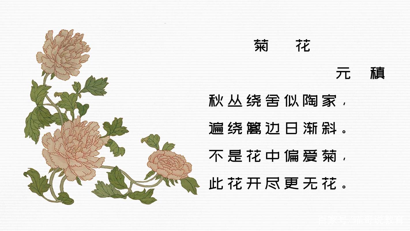 描写菊花的诗句佳句