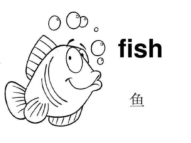 鱼英语怎么写